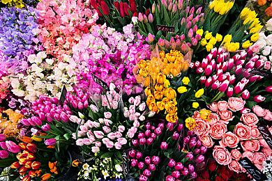 《潜水员戴夫》正式版steam发售 好评如潮10%优惠中